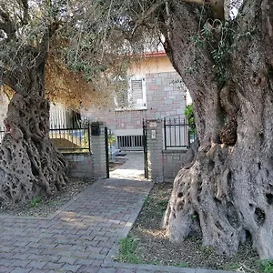  Appartamento La Casa Degli Ulivi